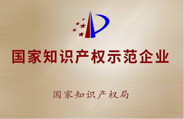 國家知識產權示范企業(yè)