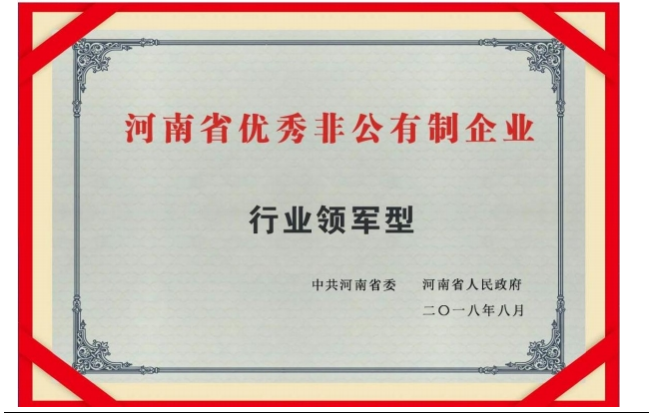 行業(yè)領軍型企業(yè)